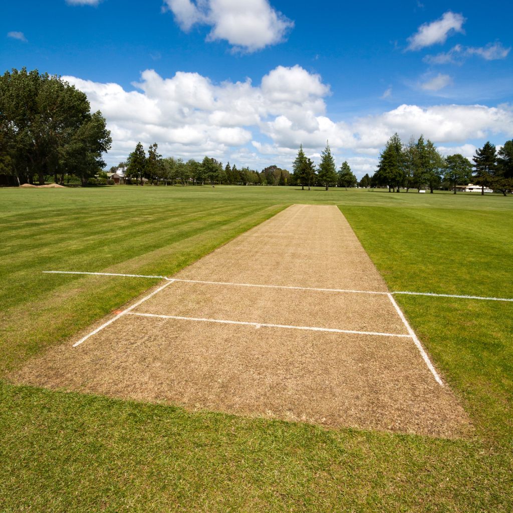 Passion at forefront of Durant Cricket project gallery image 2