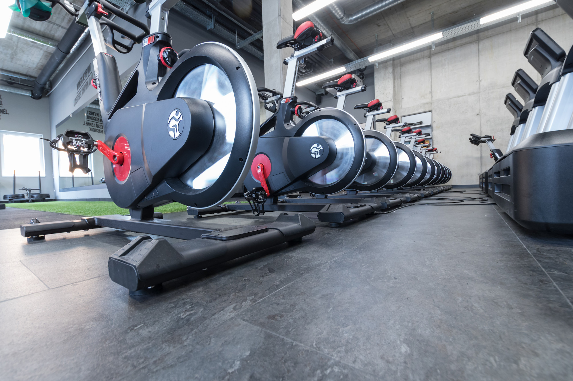 Gym Surfaces