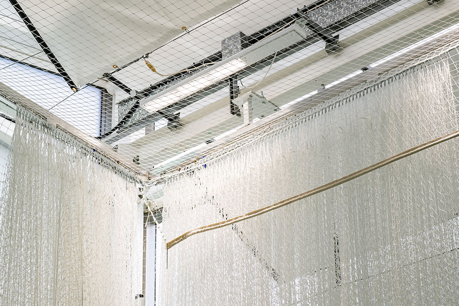 South Northumberland Cricket Club — the first large-size DuraFlex installation in ECB-approved Mint Green project gallery image 24