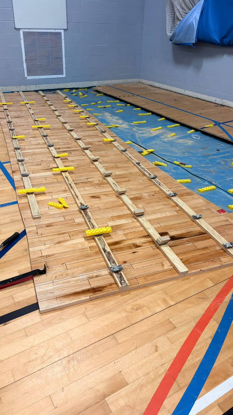 South Devon College — a Gerflor Taraflex AE85 undercarriage beneath a Taraflex top surface project gallery image 2